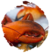 Lobster/Crab